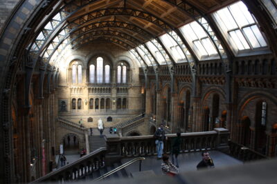 Natural History Museum — vista elevada Hintze Hall