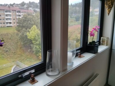 Alojamiento en Oslo — trolls y orquídea en el alféizar