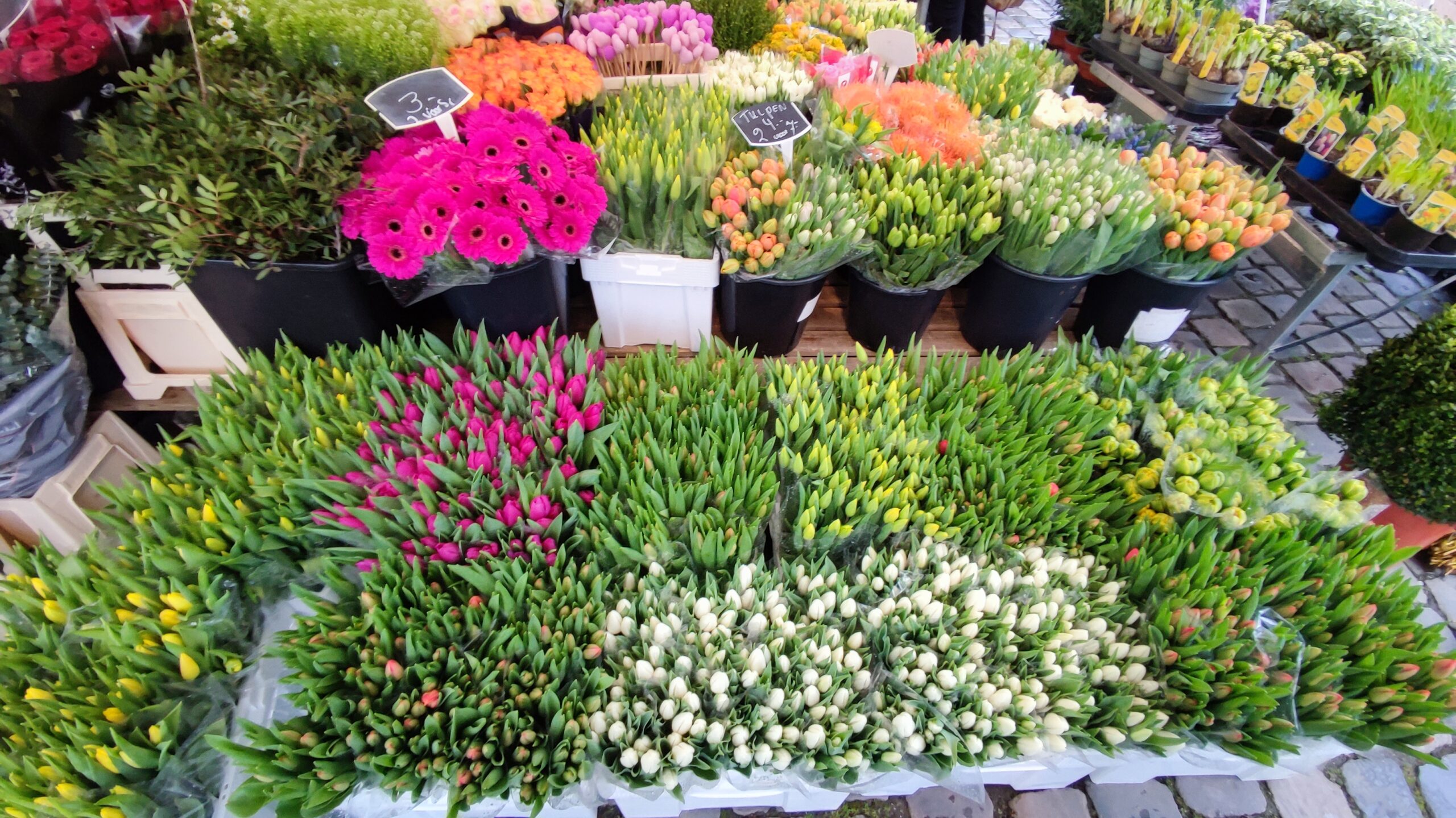 Puesto de flores en el Markt de Gouda