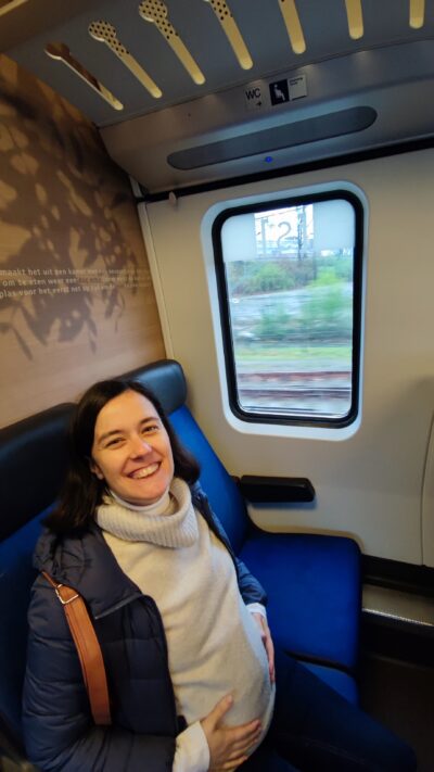 Interior tren NS — Nagore embarazada