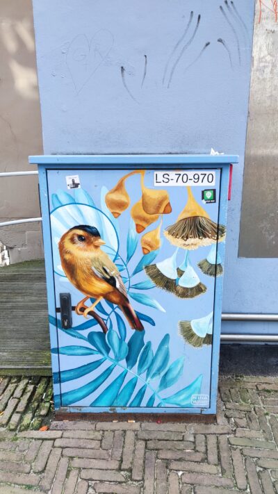 Foto del viaje a Países Bajos