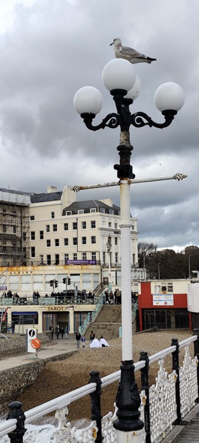 Brighton 25 oct 2025 — 113