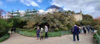 Brighton 25 oct 2025 — 128