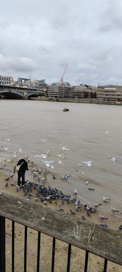 Londres 26 oct 2025 — 70