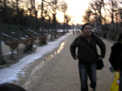 Praga-Budapest-Viena 2006-03-20 — 180
