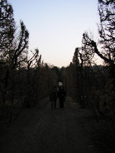 Praga-Budapest-Viena 2006-03-20 — 192