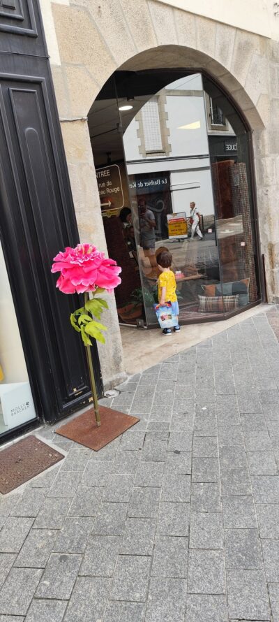 Bretaña 16 jul 2026 - Pont-Aven, Quimper, Concarneau